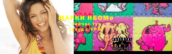 шишки Арсеньев