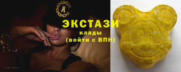 шишки Арсеньев