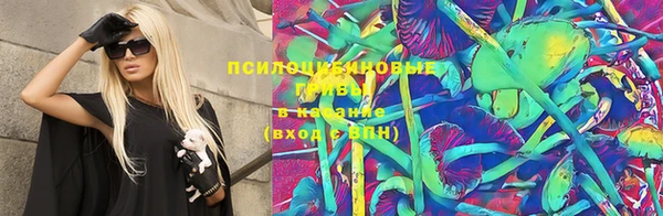 шишки Арсеньев