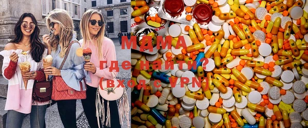 шишки Арсеньев